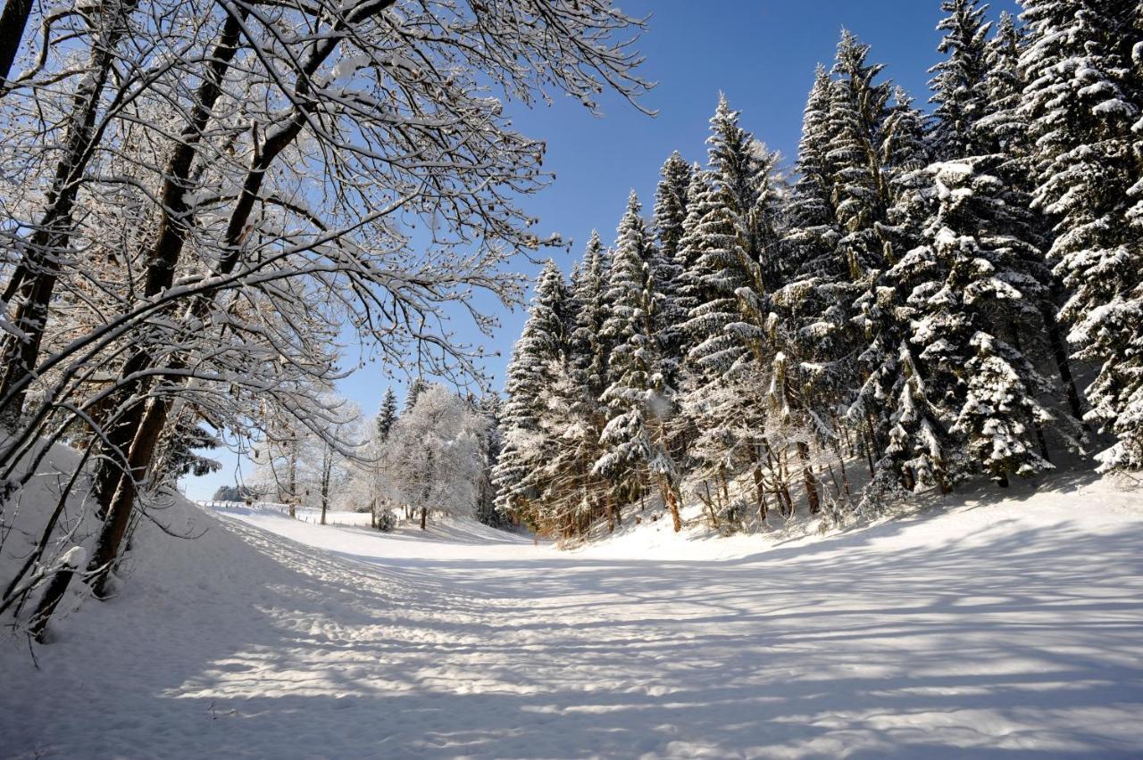 Hotel Alpenresidenz Adler Kirchberg in Tirol Zewnętrze zdjęcie